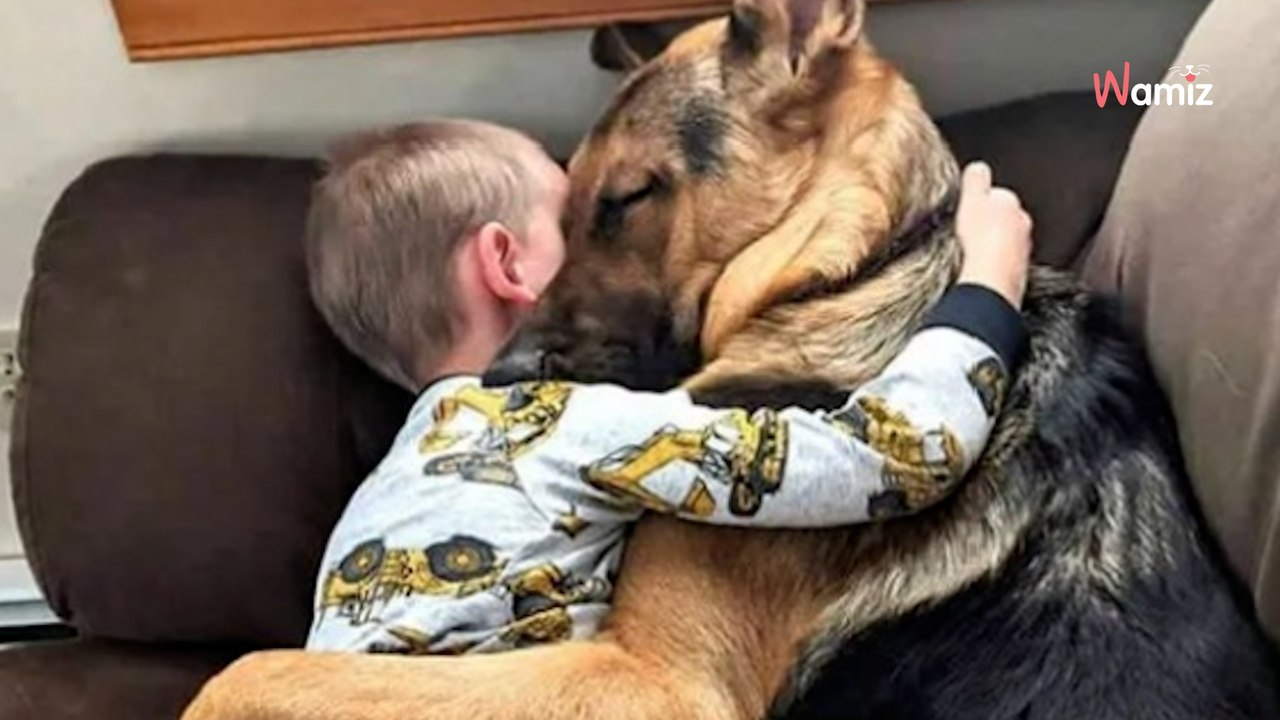 Newly adopted rescue dog shows his gratitude by taking care of new owner's kids