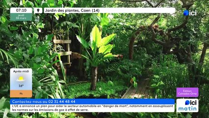 06/03/2025 - ici matin parici Normandie (Calvados - Orne) en vidéo