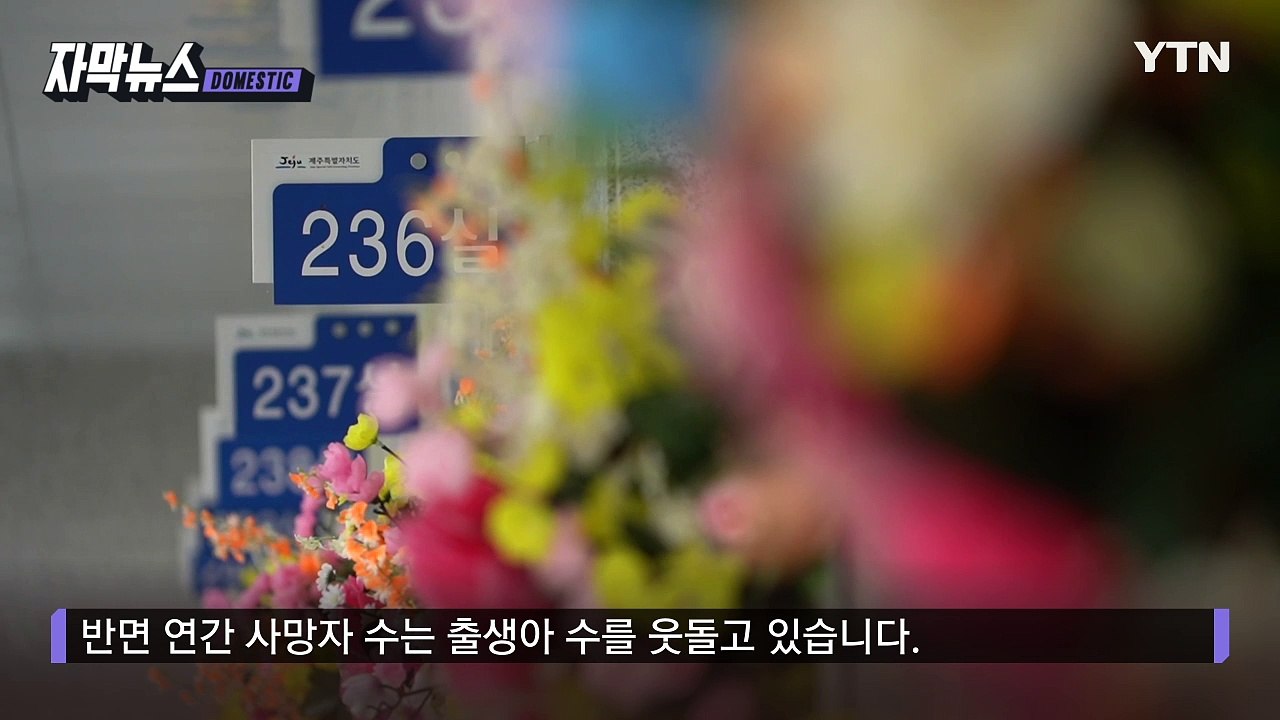 [자막뉴스] 전국 반등에도 나홀로 '뚝'...다른 행보 보이는 제주 / YTN