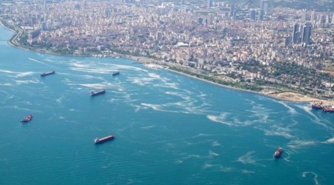 Marmara Denizi'nde müsilaj alarmı! Felaket yaklaşıyor