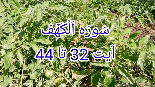 Surat ul kahf | Tilawat Al kahf | best qirat | kuran pak ki tilawat | bubak learn quran |