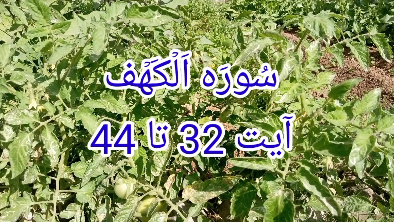 Surat ul kahf | Tilawat Al kahf | best qirat | kuran pak ki tilawat | bubak learn quran |