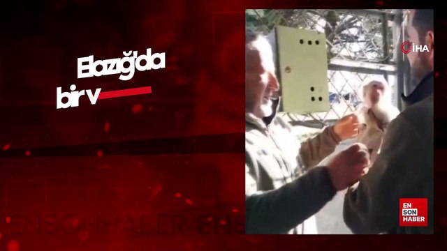 Elazığ'da bir vatandaş yolda yürürken maymun buldu