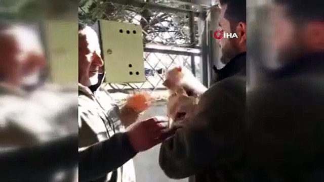 Elazığ'da bir vatandaş, yolda yürürken maymun buldu