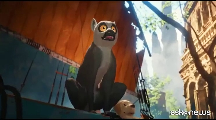 Video Al cinema e in streaming c'è 'FLOW', il cartoon dei record e dell'Oscar: dove e perché vederlo