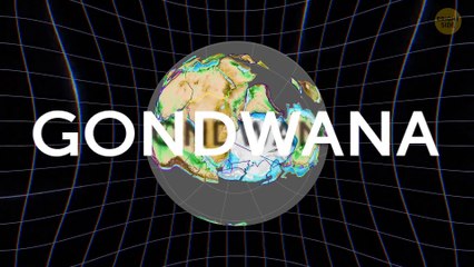 Hobbits May Still Be Living Right Under Our Noses, Experts Claim