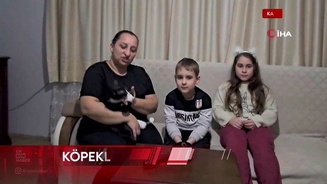 Kastamonu'da sokak köpekleri küçük çocuğa aynı gün içinde iki kez saldırdı