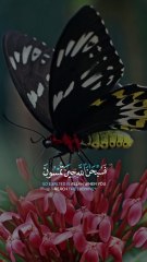 Ya Allah hame hidayat den