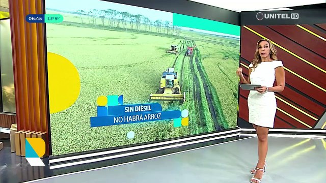 Beni: hay 5.000 hectáreas de arroz bajo el agua por las lluvias y está en riesgo que no se complete la cosecha por falta de diésel, dice productor
