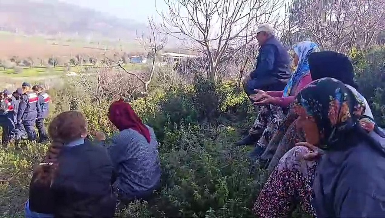 Tire’de ağaç kesimi başladı!
