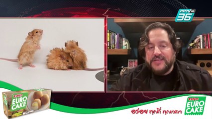 นักวิทย์สร้าง "หนูขนยาว" หวังคืนชีพแมมมอธ | ทันโลก DAILY | 6 มี.ค. 68