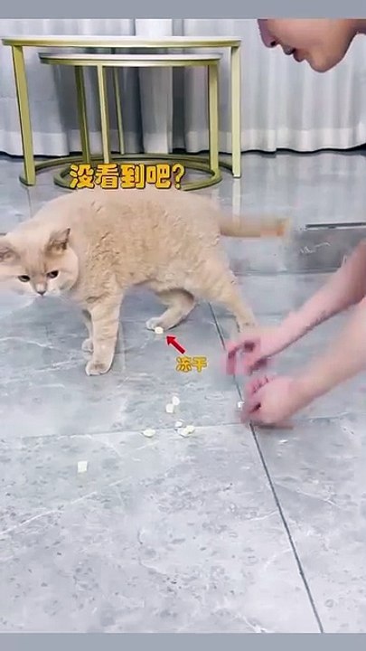 hay vậy quá nha Dàng