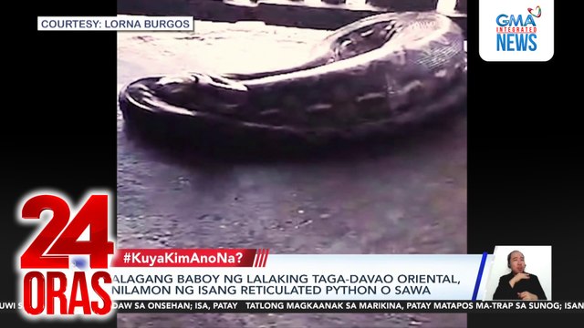 Alagang baboy ng lalaking taga-Davao Oriental, nilamon ng isang reticulated python o sawa | 24 Oras