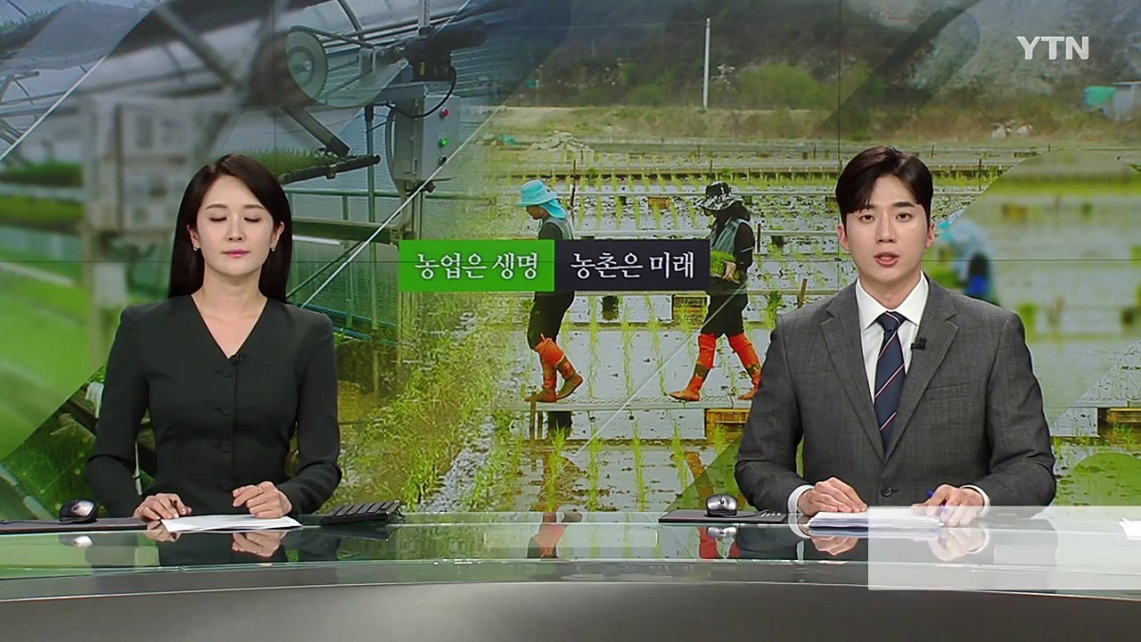 [녹색] '칡소' 부활 신호탄?...'체외수정란 생산율 향상' 기술 개발 / YTN