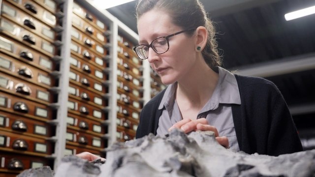 Remains of Jurassic dinosaur that roamed 166 million years ago found on Scottish island