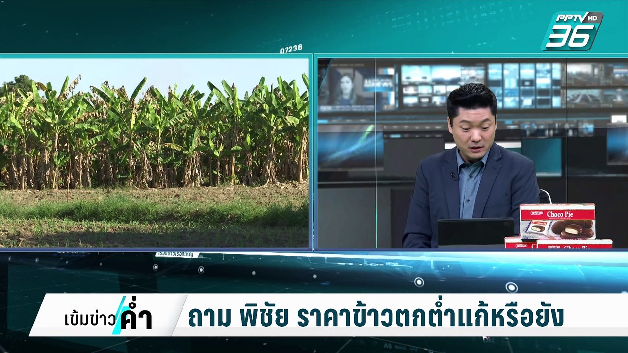 พิชัย แนะ ชาวนาปลูก "กล้วย แทน ข้าว" | เข้มข่าว...