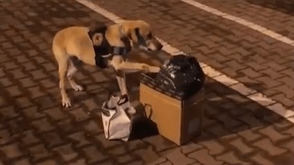 Salça bidonunda uyuşturucu ile yakalandılar