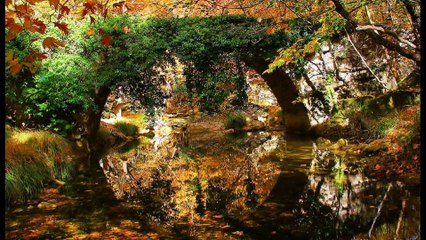 Safranbolu Albümü-4R