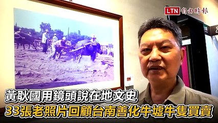 黃耿國用鏡頭說在地文史 33張老照片回顧台南善化牛墟牛隻買賣