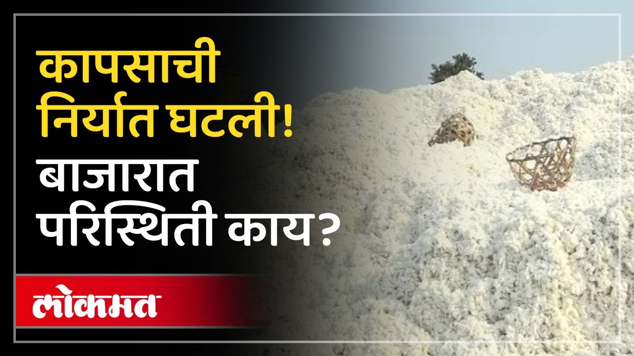 आंतरराष्ट्रीय बाजारात भारतीय कापसाला नाही मागणी