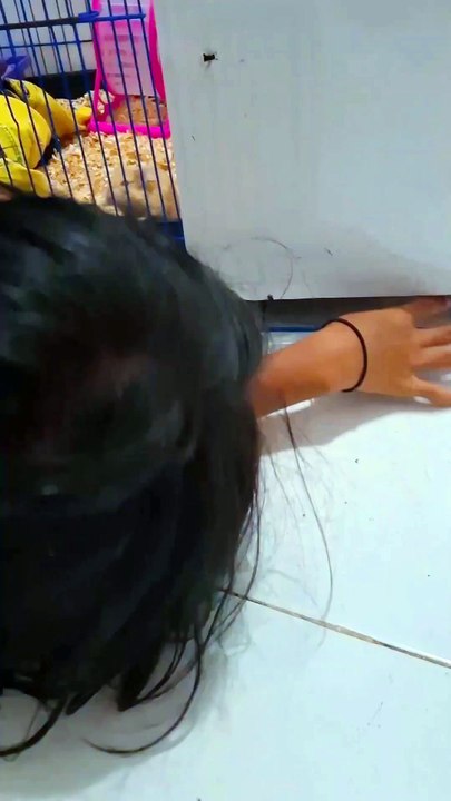 Si gembul di jewer
