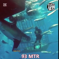 DALIY Fact's Follow Interesting Video's River formation History