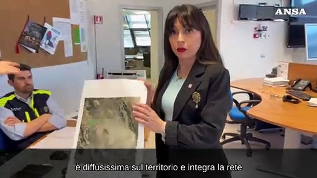 Sisma a Foligno, Proietti: Non abbiamo segnalazioni di danni