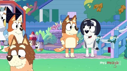 Top 10 Fascinating Questions About Bluey & the Heeler Family 🐶