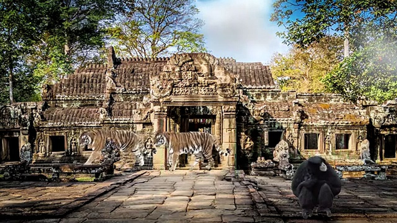 Beautiful Ancient Temple And Wild Animal