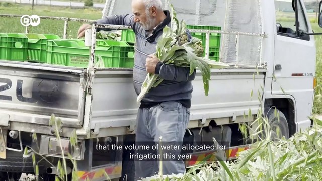 Farmers in Cyprus struggle with water shortages