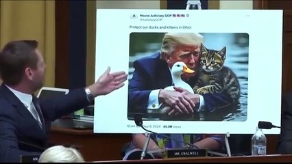 Eric Swalwell Slams Jim Jordan’s Bizarre “Trump Rescues Cats” Meme During Border Crisis Hearing