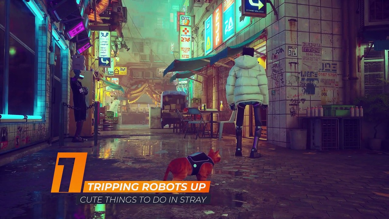 The Cutest Things To Do In Stray