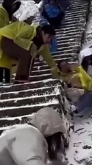 Escaleras congeladas en montaña china causan caídas de turistas (+Video)