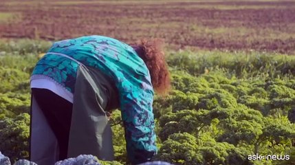 NaturaS? lancia prezzo trasparente con quota per gli agricoltori