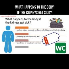 What happens to the body if the kidneys get sick?