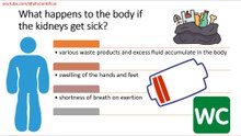 What happens to the body if the kidneys get sick?