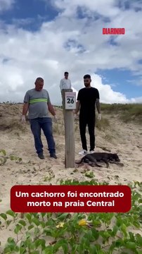 Pitbull morreu torturado e amarrado a poste