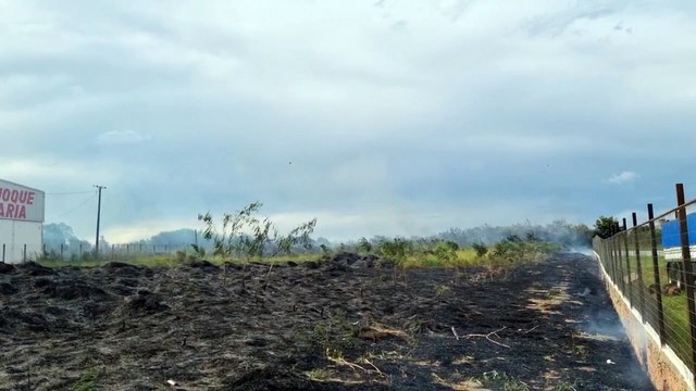 Incêndio ambiental mobiliza equipe do Corpo de Bombeiros em Cascavel