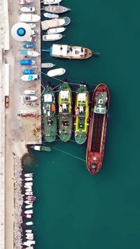 Sheinbaum agradece a Trump por pausa de aranceles I Reporte Indigo