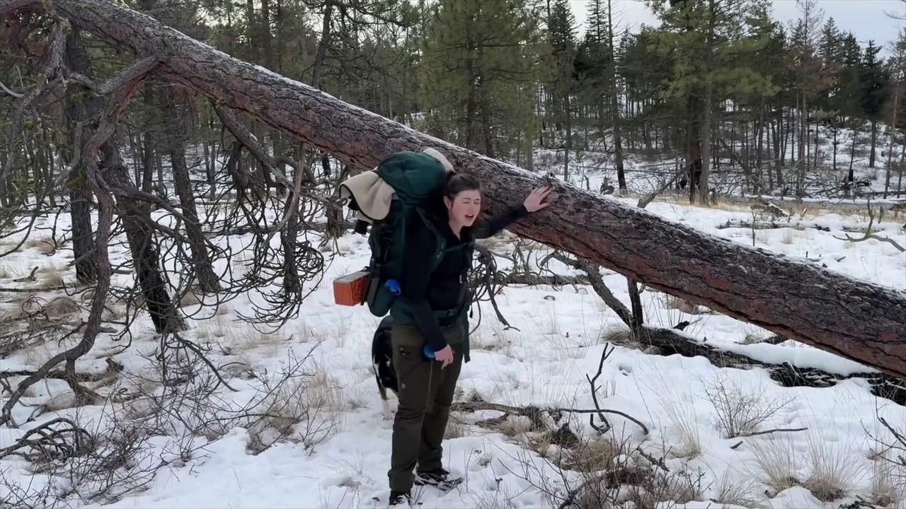 Winter Survival Shelter - Bushcraft Camping