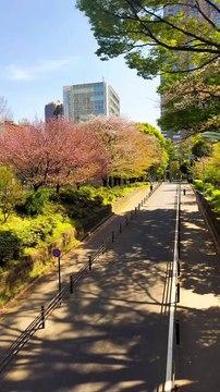 Petit souvenir des 3 mois au japon