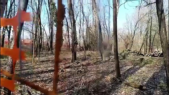 Torino, un albero si abbatte su due attivisti durante i lavori al parco del Meisino