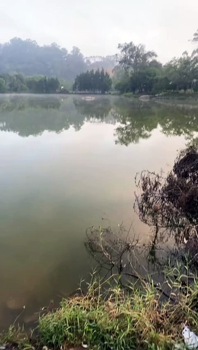 Cantor é encontrado morto após mergulhar para salvar cadela em Cotia