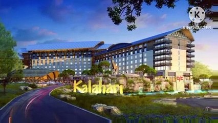 Dark Oreo Charlie The Anteater Misbehaves At The Kalahari Water Park Resort