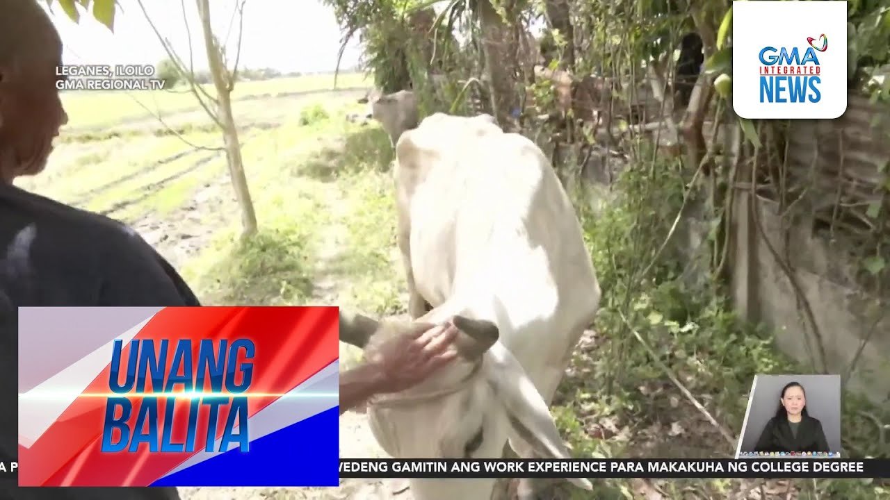 Mga alagang hayop, apektado rin ng matinding init ng panahon | Unang Balita
