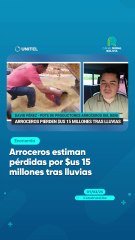 Arroceros estiman pérdidas por $us 15 millones tras lluvias