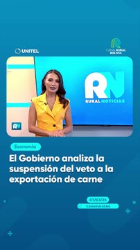 El Gobierno analiza la suspensión del veto a la exportación de carne