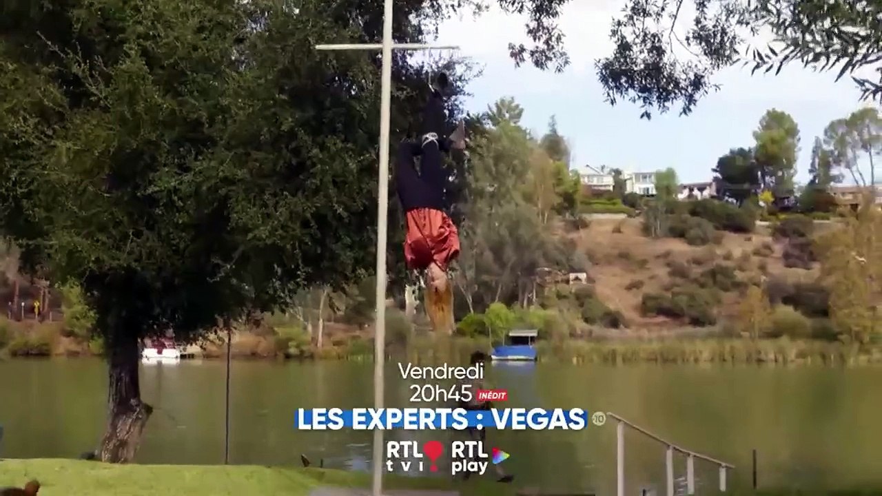 Les experts : Las Vegas