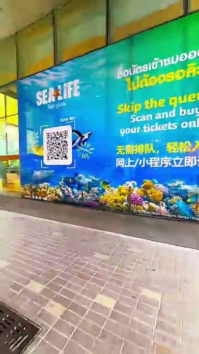 "Diving into the wonders of the deep at the Sea Life Museum Bangkok! 🐠✨