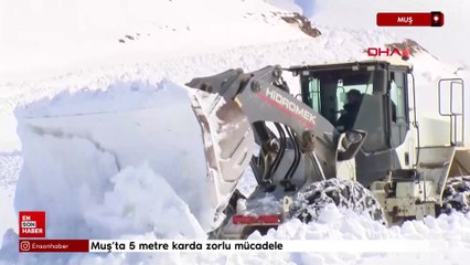 Muş’ta 5 metre karda zorlu mücadele